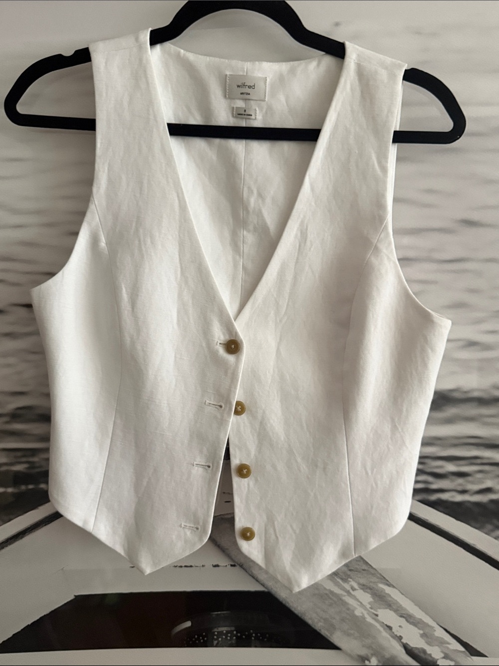 Aritzia Vest